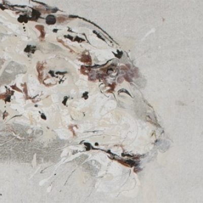 Snow leopard 3