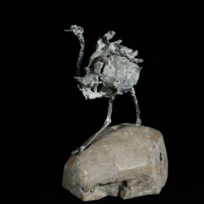 Stenen ostrich 2