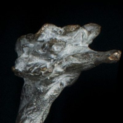 Stenen ostrich 3