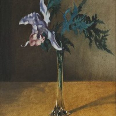 Witsen orchidee 2