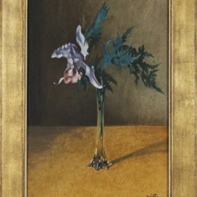 Witsen orchidee 5