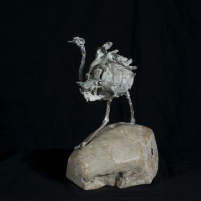 Ostrich Stone a