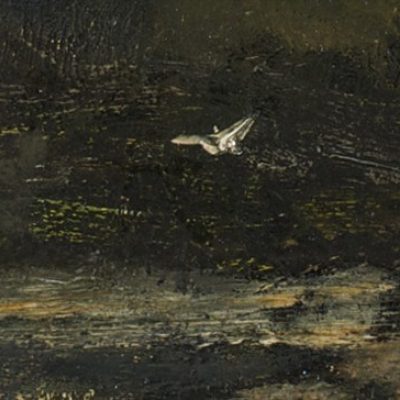 Wq20jn594c