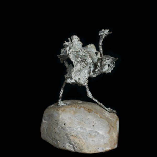 Ostrich Stone b