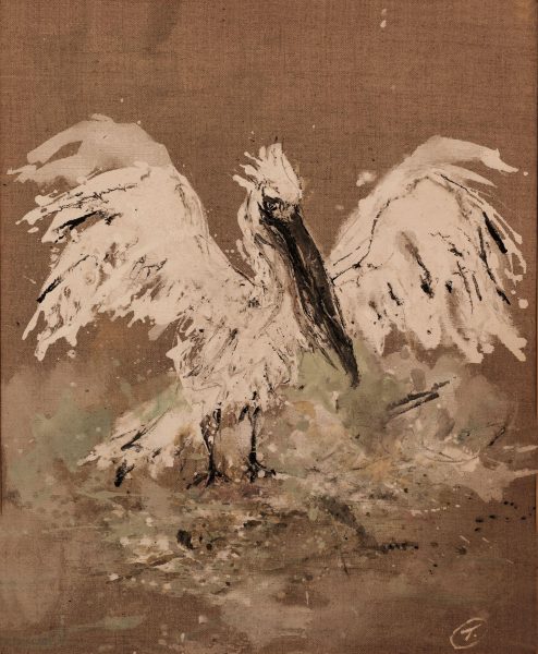 Le pelican tallis website